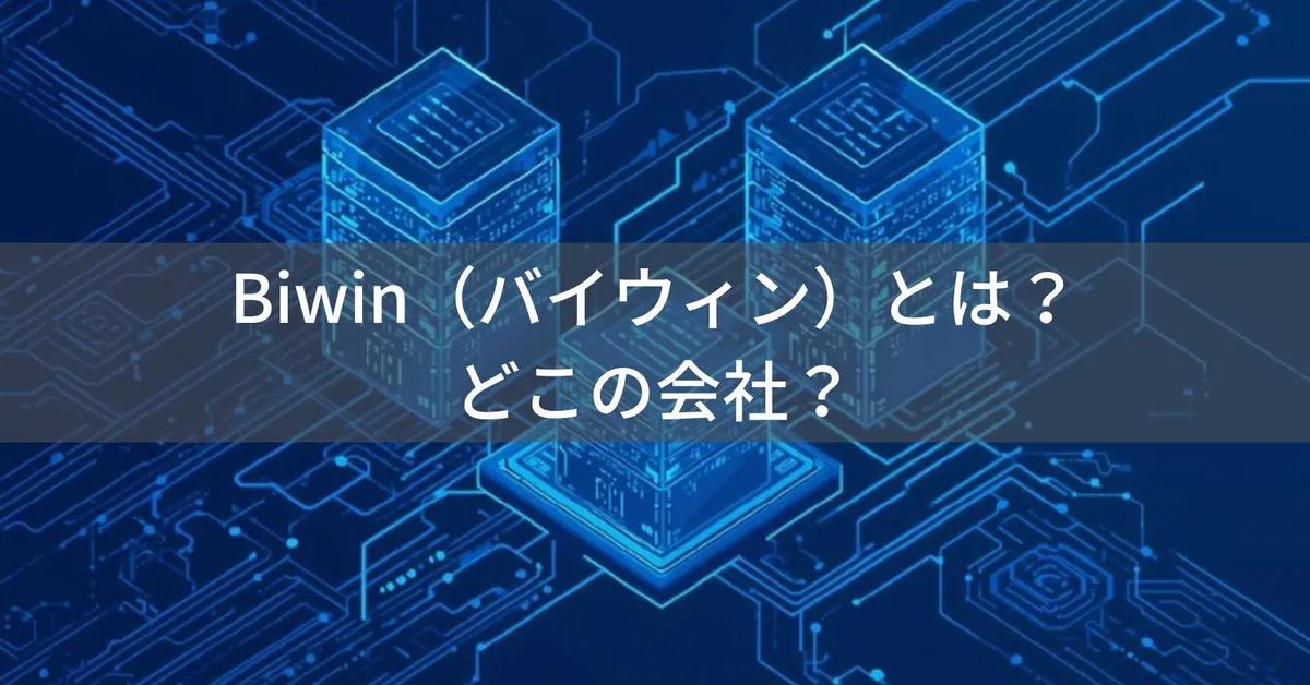 BIWINはどこの国?中国深圳のSSD・ストレージメーカーを解説