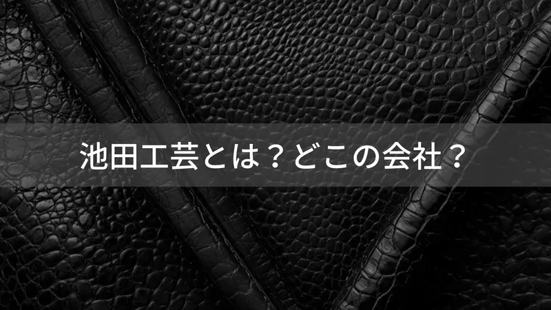 池田工芸（Ikeda Kohgei）とは？怪しい？どこの会社？日本・大阪府の企業がクロコダイル革製品を提供