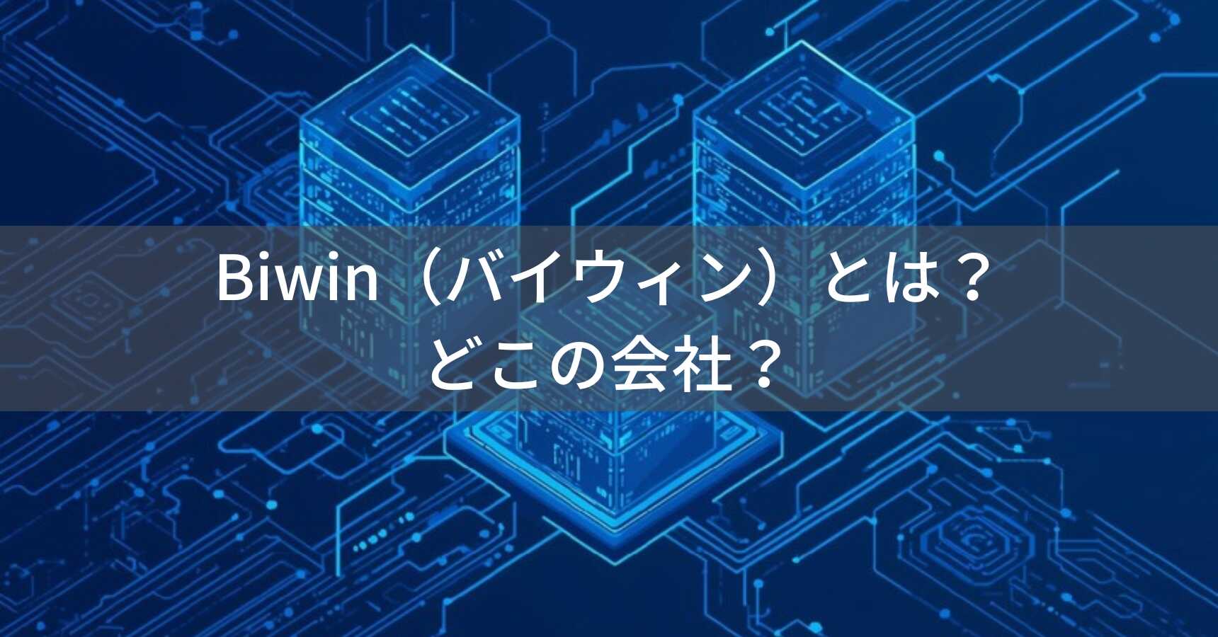 BIWIN（ビワイン）とは？怪しい？どこの会社？中国深圳市の企業がSSD・ストレージ製品を展開
