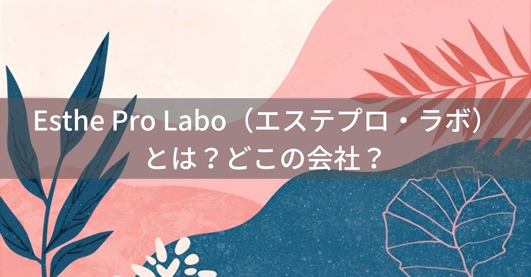エステプロ・ラボ（エステプロラボ）とは？怪しい？どこの会社？日本・東京都港区の企業がインナービューティソリューションを提供