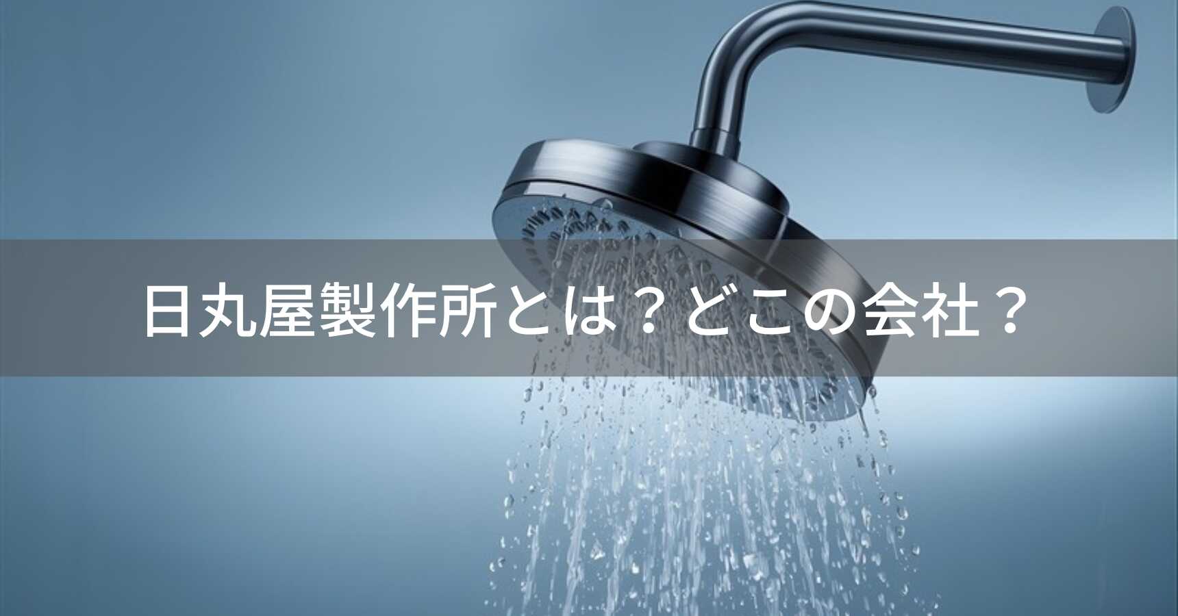 日丸屋製作所（ひまるやせいさくしょ）とは？怪しい？どこの会社？日本・東京の企業がLDKベストバイ3冠を受賞した節水シャワーヘッドを展開